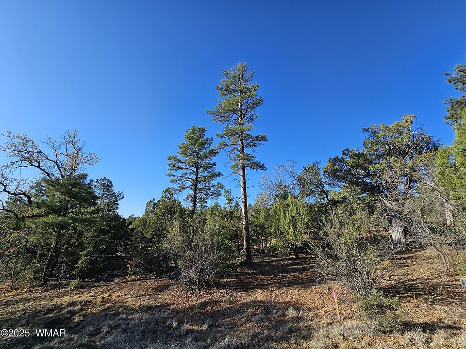 1st image of 801 W Sierra Pines Dr