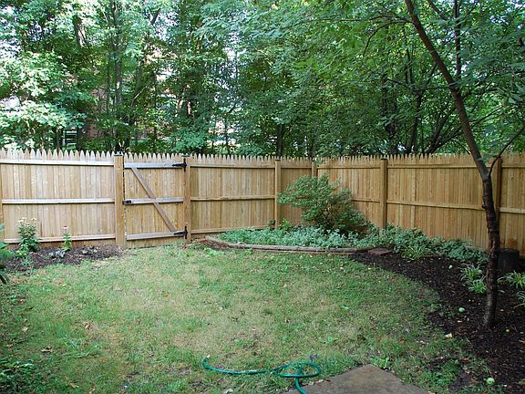 Back Yard and New Fence