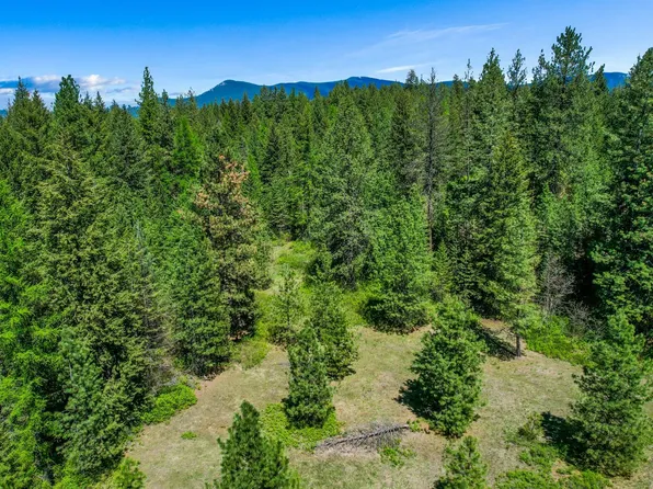 Bussard Rd, Chewelah, WA 99109