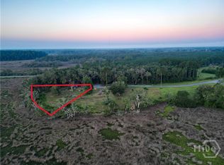 Lot #3 Retreat Lane NE, Townsend, GA 31331