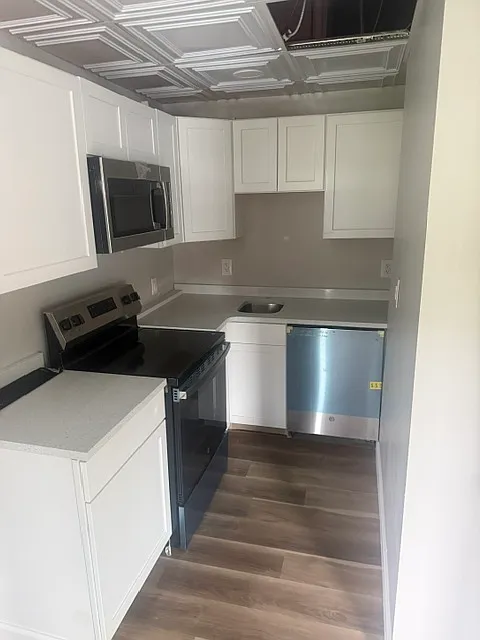1 bed, 600 sqft, $1,250 — Photo 3