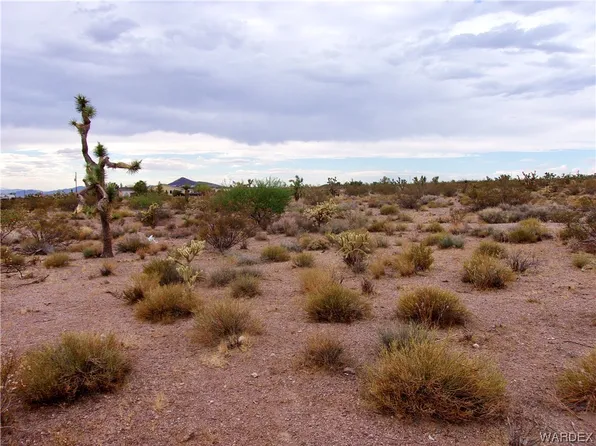 9061 W Olancha Dr, White Hills, AZ 86445