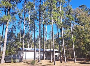 669 SW Shiloh St, Fort White, FL 32038