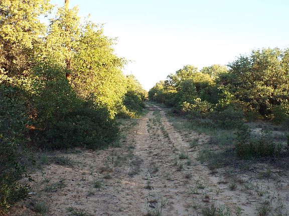 5th image of 10690 County Road 348