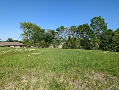 Tbd Lake Chapeau Dr, Albert Lea, MN, 56007
