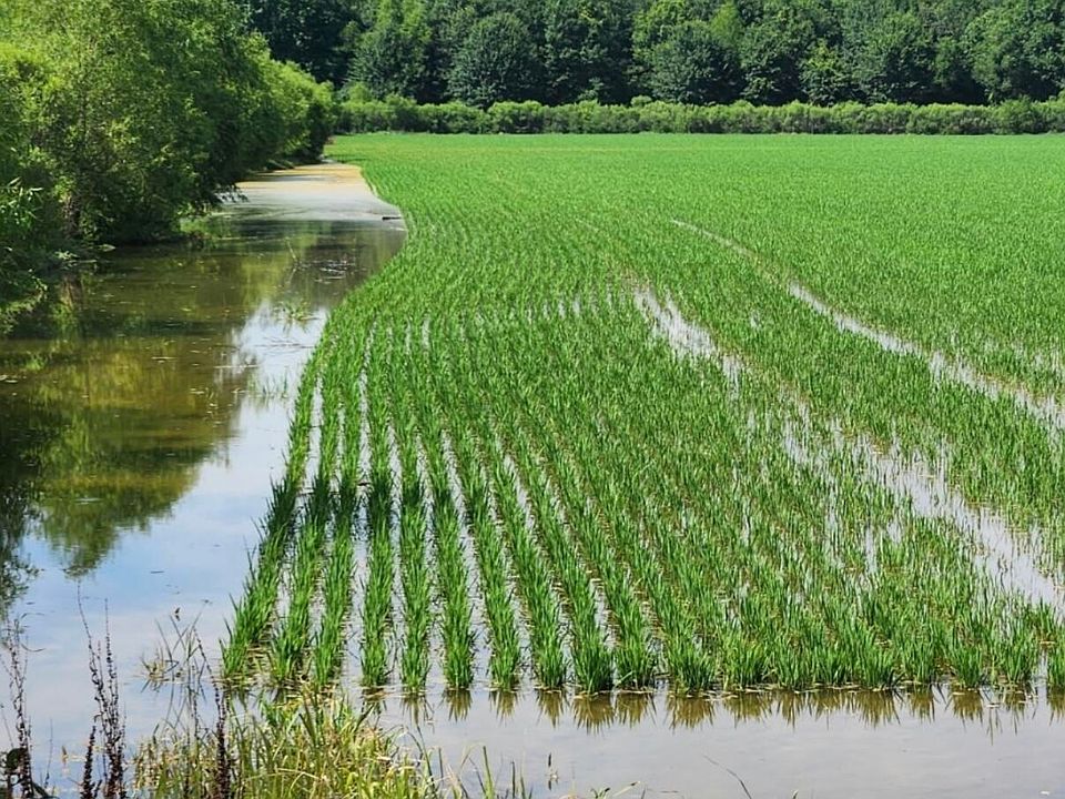 1st image of 13 Floodway Rd