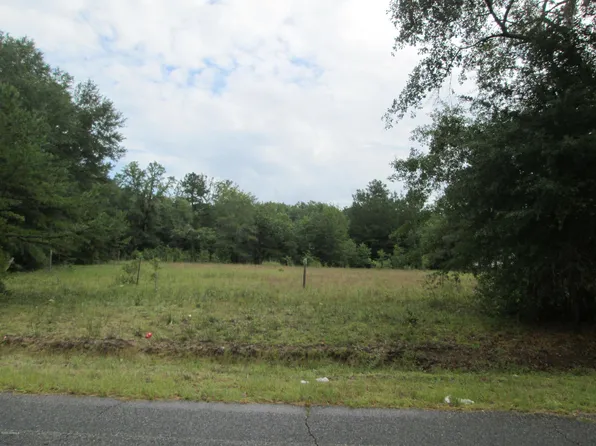 Tbd Stokes Bluff Road, Garnett, SC 29922
