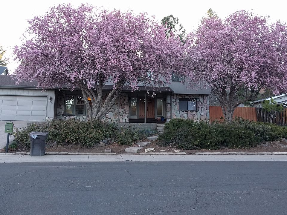 Front of the house