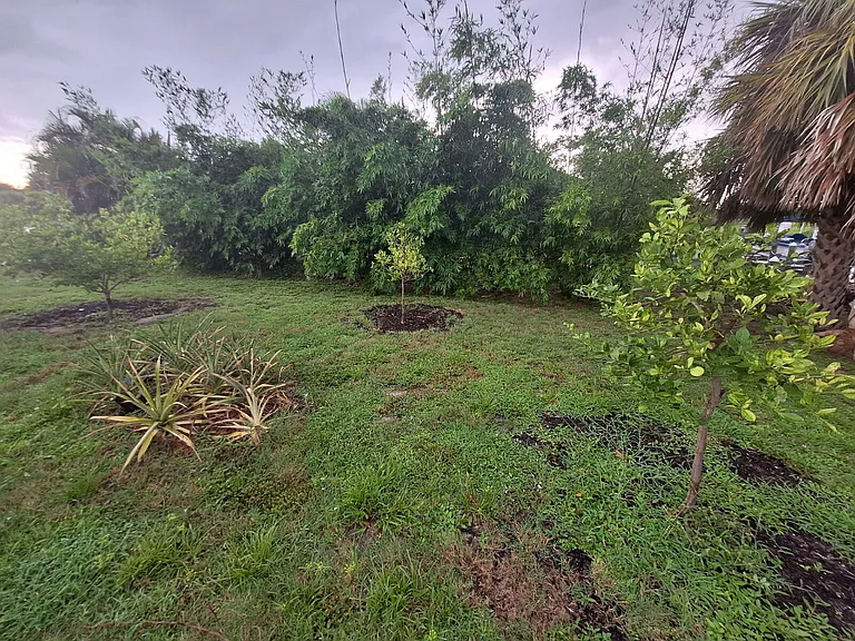 4050 Yucatan Cir — Photo 37