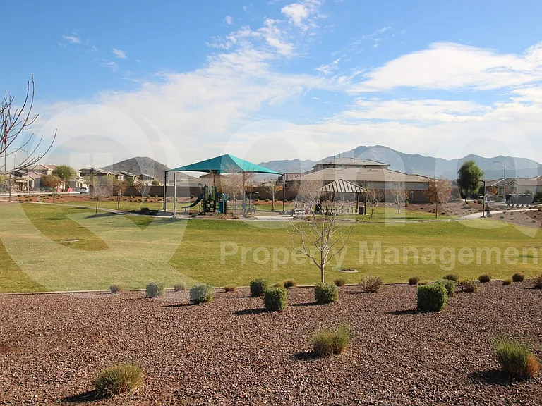 11818 S 54th Ln — Photo 28