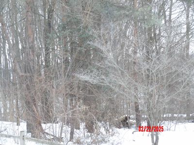 1332 N Baldwin Ave, White Cloud, MI, 49349