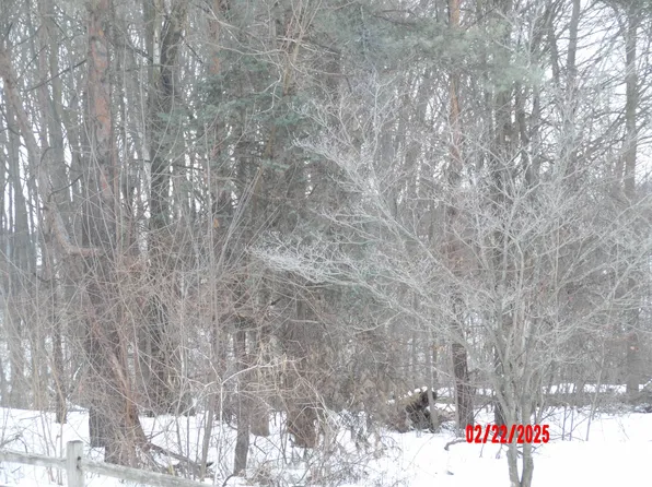 1332 N Baldwin Ave, White Cloud, MI 49349