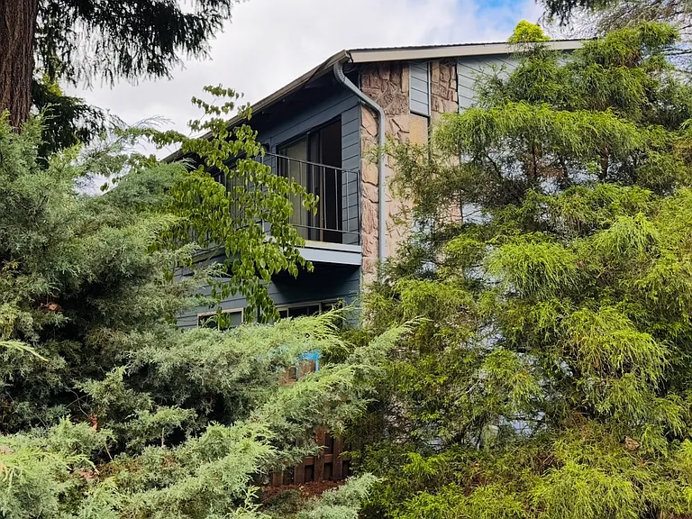 3128 SW Carson St — Photo 24