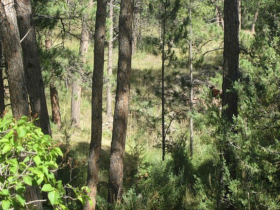 5th image of LOT Vm Pine Dr