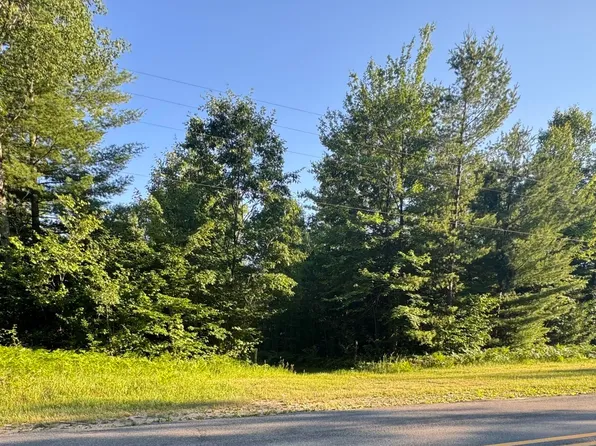 V/l E Mile Rd #8, Luther, MI 49656