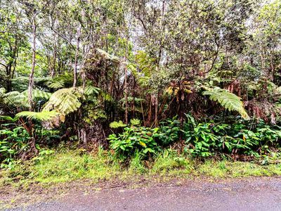 Road C, Volcano, HI, 96785