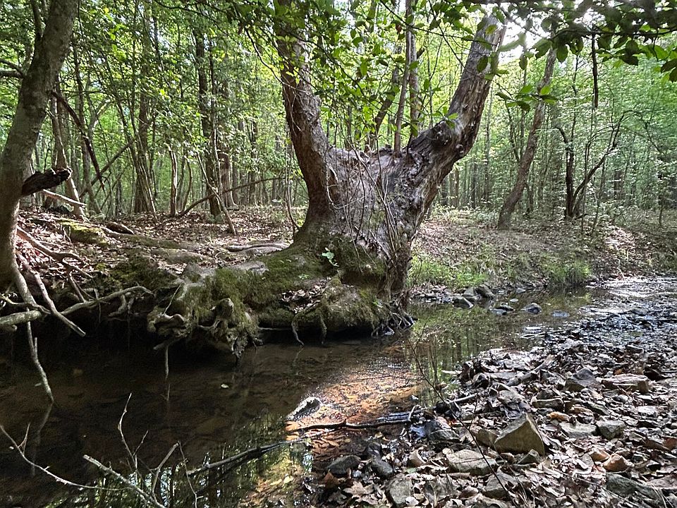 1st image of 0 Beaver Dam Rd
