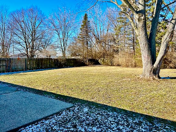 BackYardParkLike_02012023