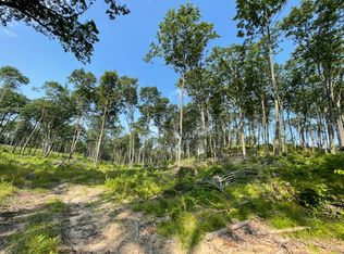 40 Fifteen Mile Rd, Remus, MI 49340