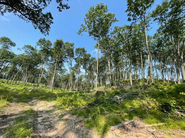 40 Fifteen Mile Rd, Remus, MI 49340