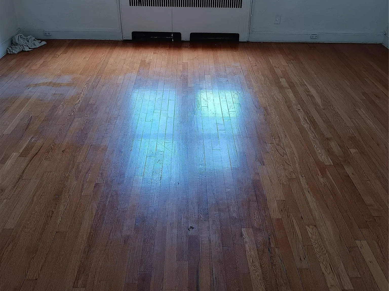 1 bed, 1.0 bath, 650 sqft, $2,200 — Photo 2