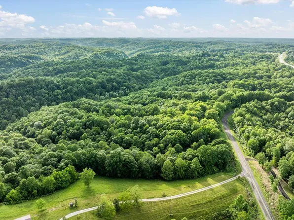 0 Walker Hill Rd, Celina, TN 38551
