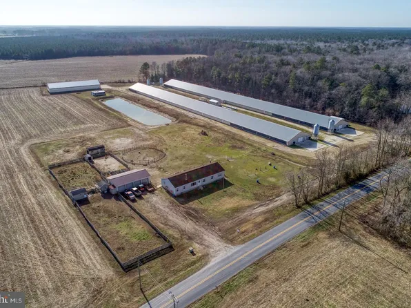 20722 Phillips Hill Rd, Millsboro, DE 19966