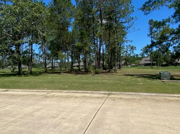 30983 Wild Iris Way, Springfield, LA 70462