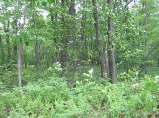 Sawmill Rd, Lake Ariel, PA 18436