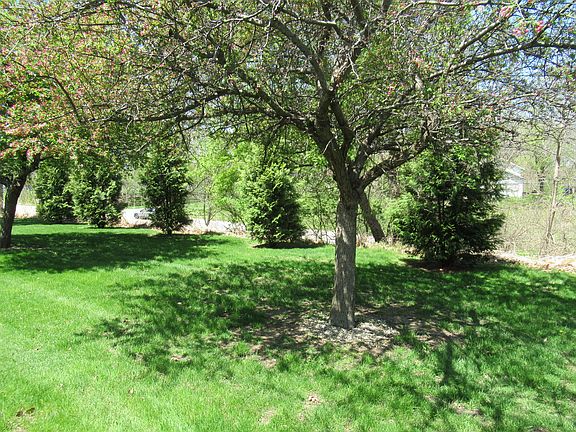 4th image of 103 Hazelwood Dr