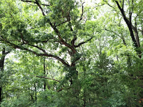 44 W Airport Dr #44, Garfield, AR 72732