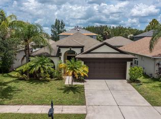 18419 Merseyside Loop, Land O Lakes, FL 34638