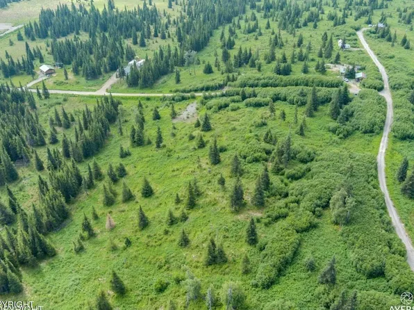 22512 Lowell St, Ninilchik, AK 99639