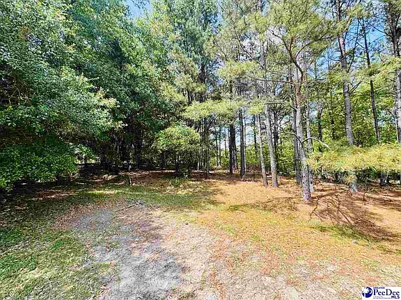 2nd image of 385 Elbert Baskins Rd