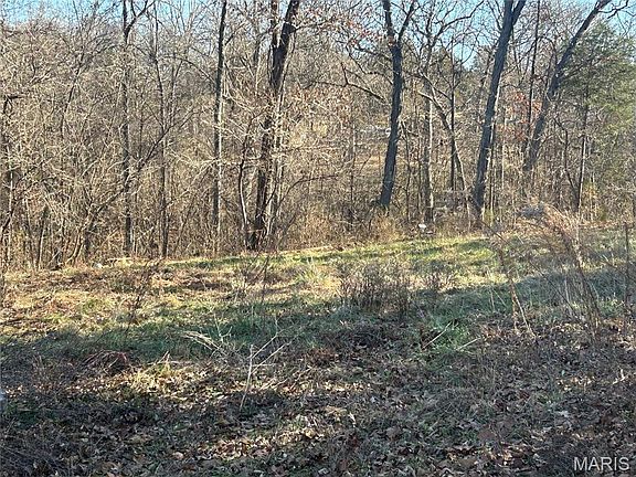 4th image of 1029 Birch Dr