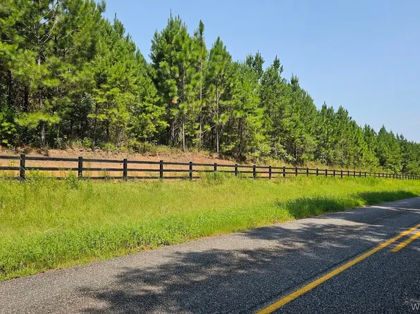 County Road 13, Ozark, AL 36360