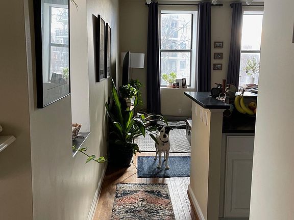 Entryway through to living room past kitchen on right