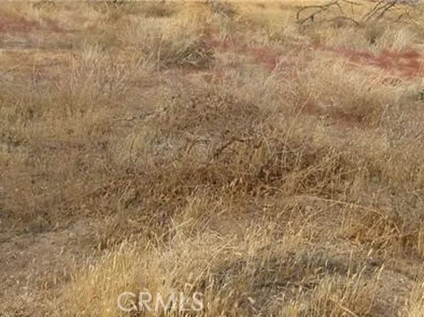 043-330 Twissleman Rd #1, Lost Hills, CA 93249