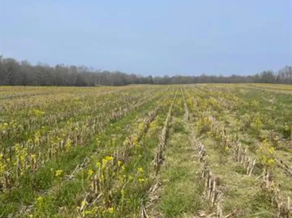 0 Valentine Rd, New Concord, KY 42076