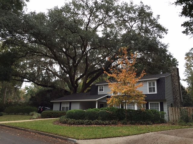 1st image of 3031 NW 10th Pl