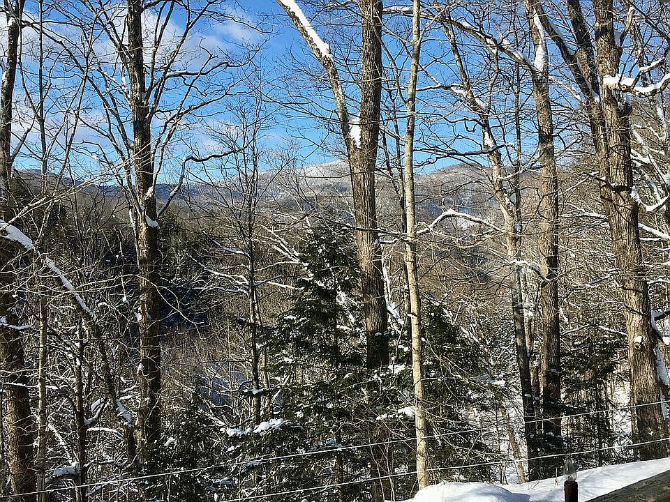 145 Lower Meadow Rd, Rochester, VT 05767 Zillow