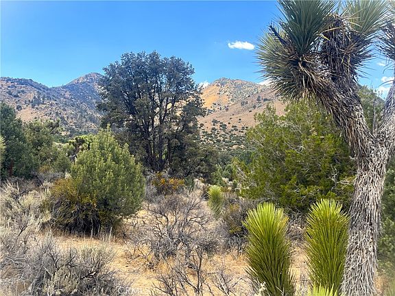 5th image of 0 Pine Hollow Rd