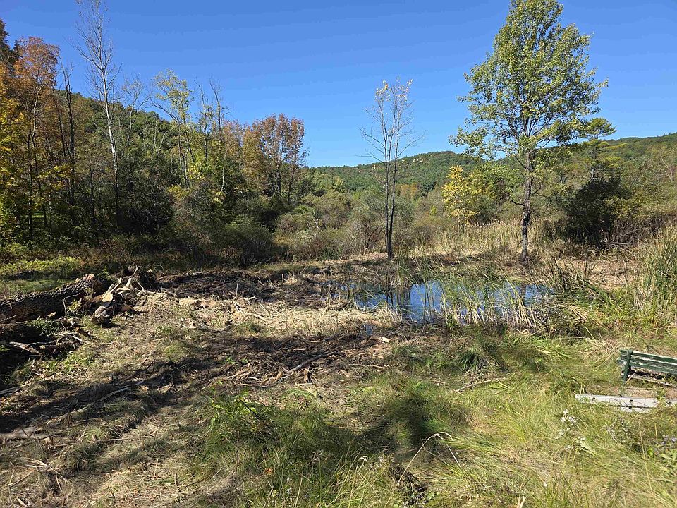 2nd image of 244 Henry Gould Road