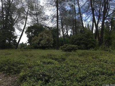 89 Forest Meadows Dr, Murphys, CA, 95247