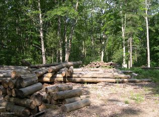 11995 N Mac Rd, Irons, MI 49644