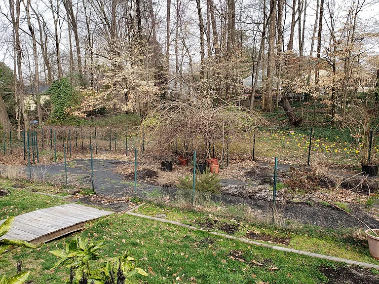 6812 Jean Dr — Photo 23
