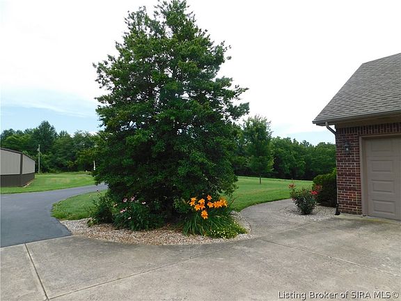5th image of 233 S Dog Trot Road