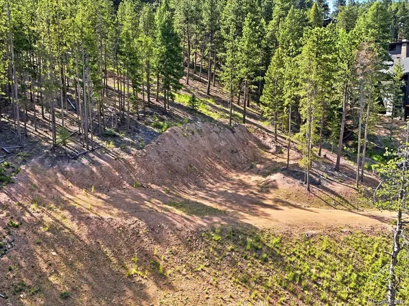 6824 Lynx Lair Road, Evergreen, CO 80439