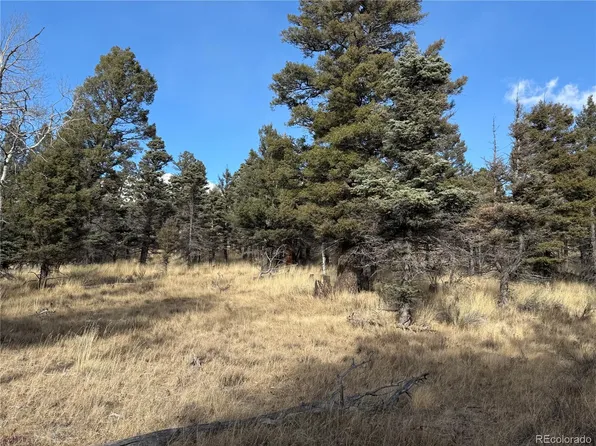 310 Morley Place LOT 310, Fort Garland, CO 81133