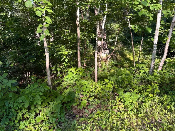 Xxx Lark Pl, McGregor, MN 55760